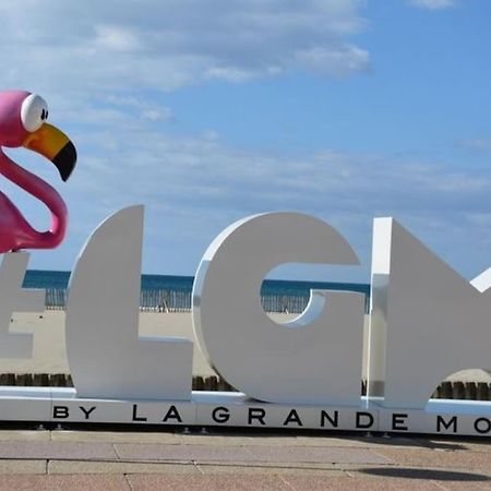 Superbe Studio Au Calme A 8Mn De La Plage La Grande Motte Exterior photo